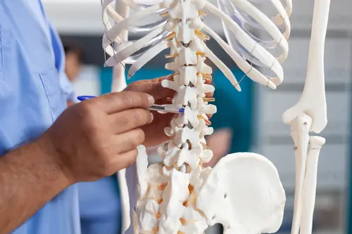 Doctor Pointing at Spine